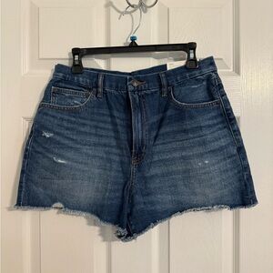 Curvy Strigid Shorts